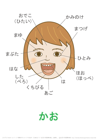 No 07 7 17 ひとりでからだをふけるかな からだのなまえをおぼえよう 令和２年度いずみ通信 わしみね幼稚園